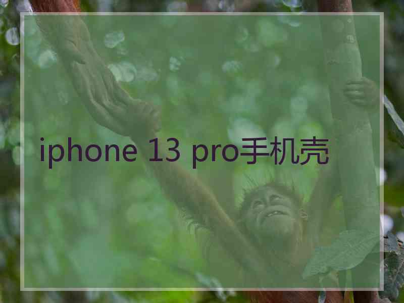 iphone 13 pro手机壳