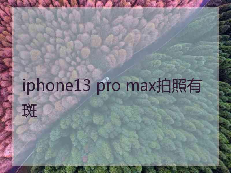 iphone13 pro max拍照有斑