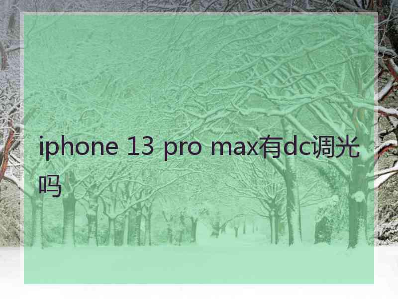 iphone 13 pro max有dc调光吗