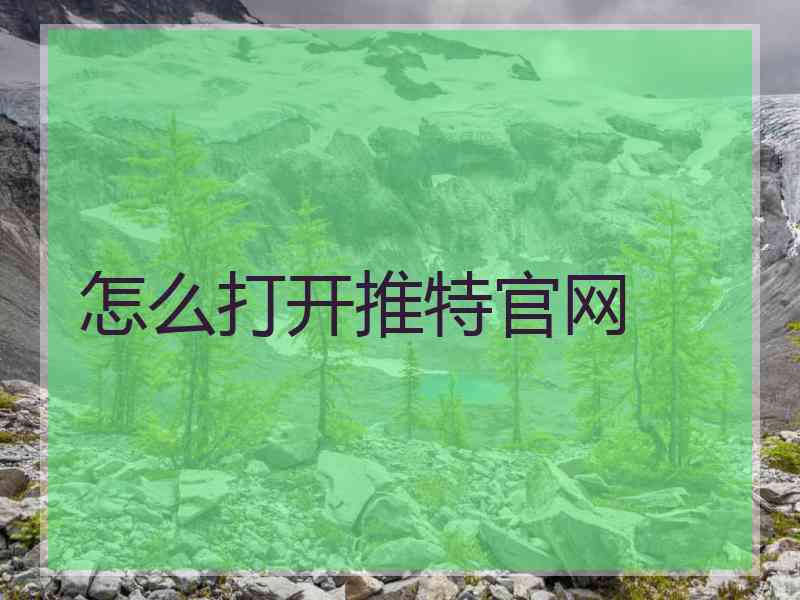 怎么打开推特官网