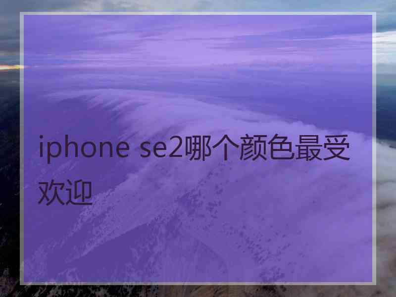 iphone se2哪个颜色最受欢迎