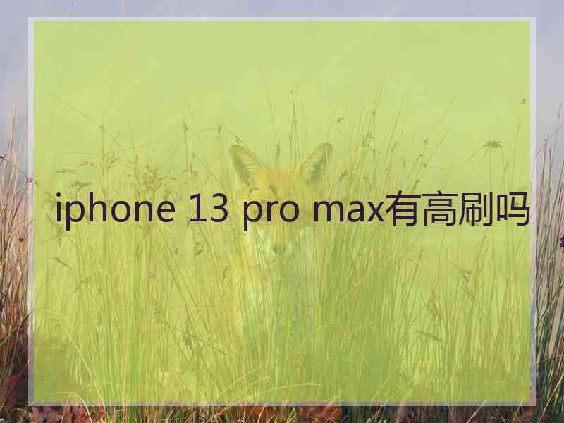 iphone 13 pro max有高刷吗