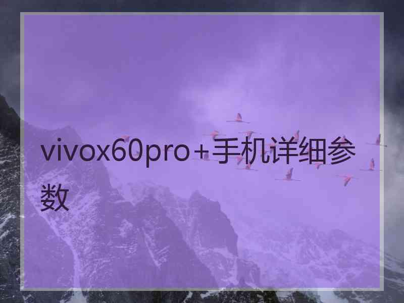 vivox60pro+手机详细参数