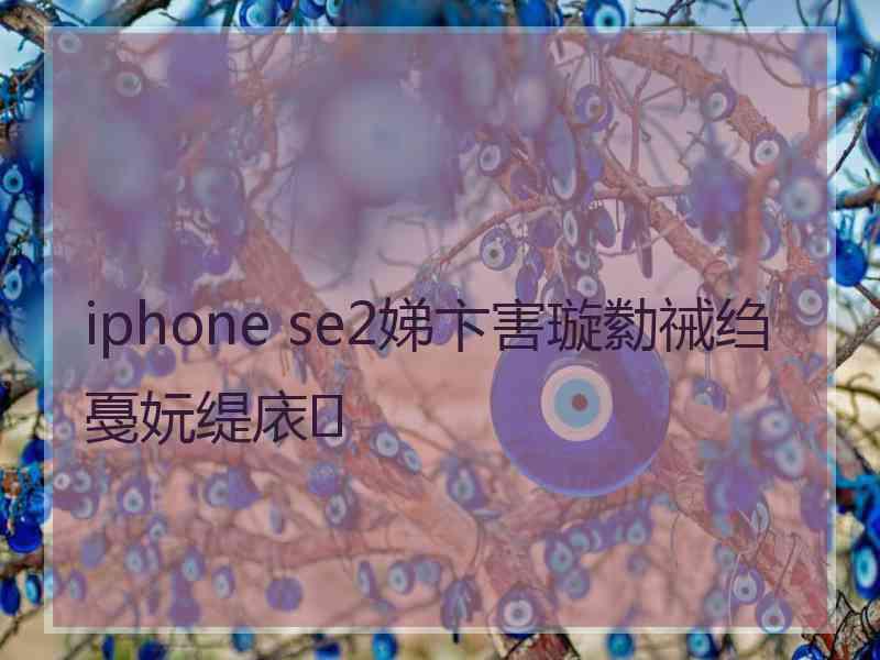 iphone se2娣卞害璇勬祴绉戞妧缇庡