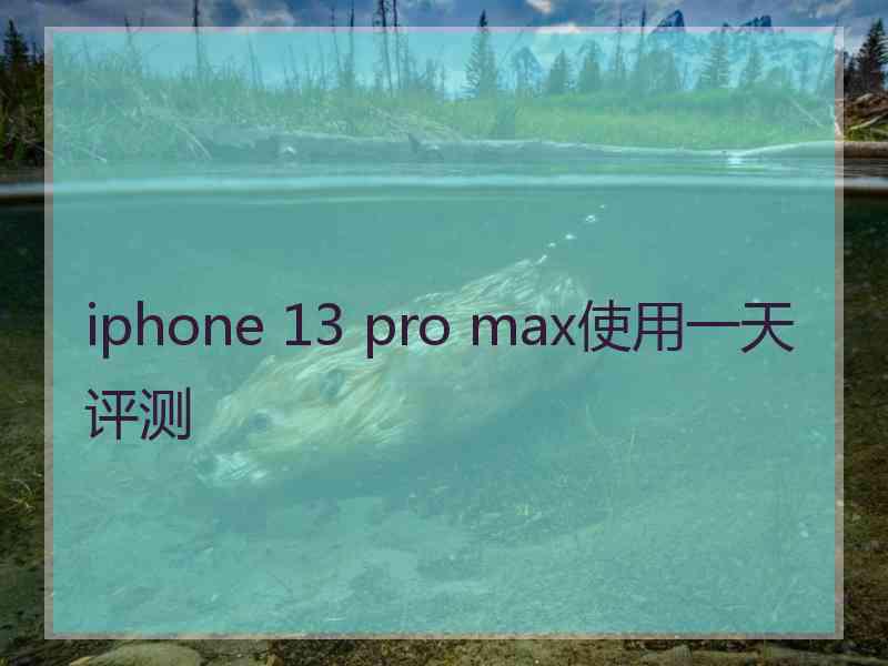 iphone 13 pro max使用一天评测