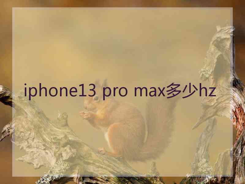 iphone13 pro max多少hz