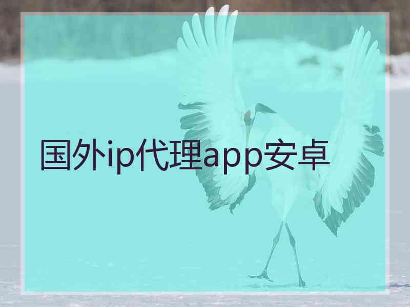 国外ip代理app安卓