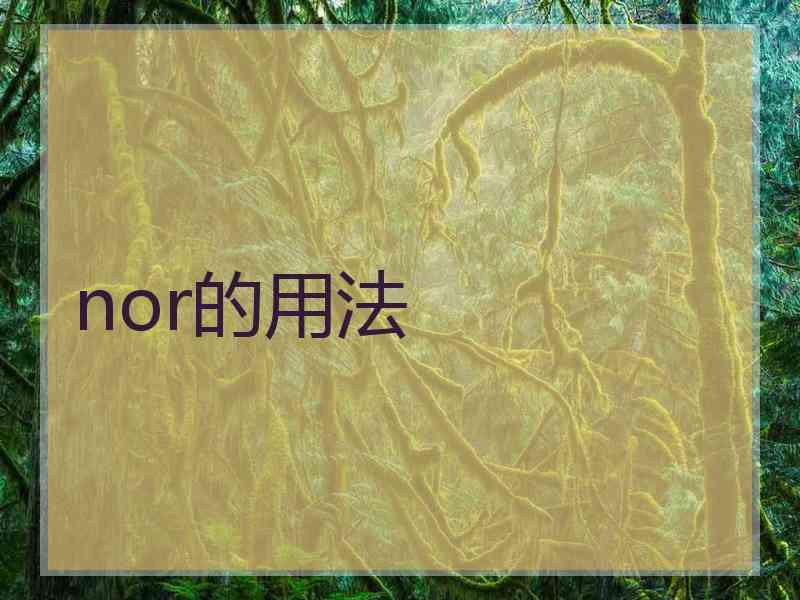 nor的用法