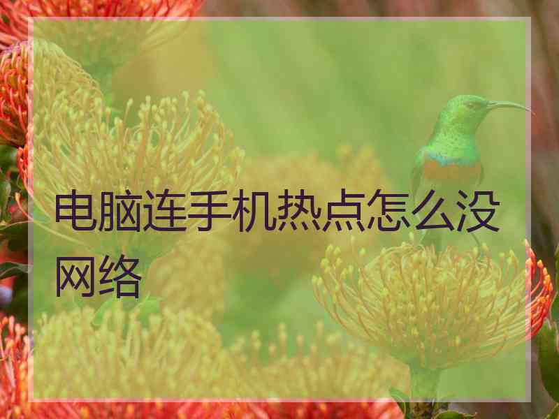 电脑连手机热点怎么没网络