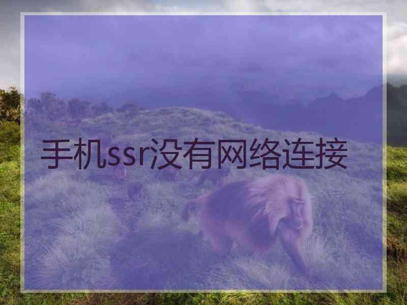 手机ssr没有网络连接