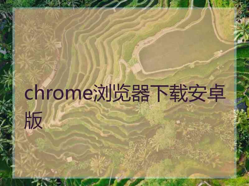 chrome浏览器下载安卓版