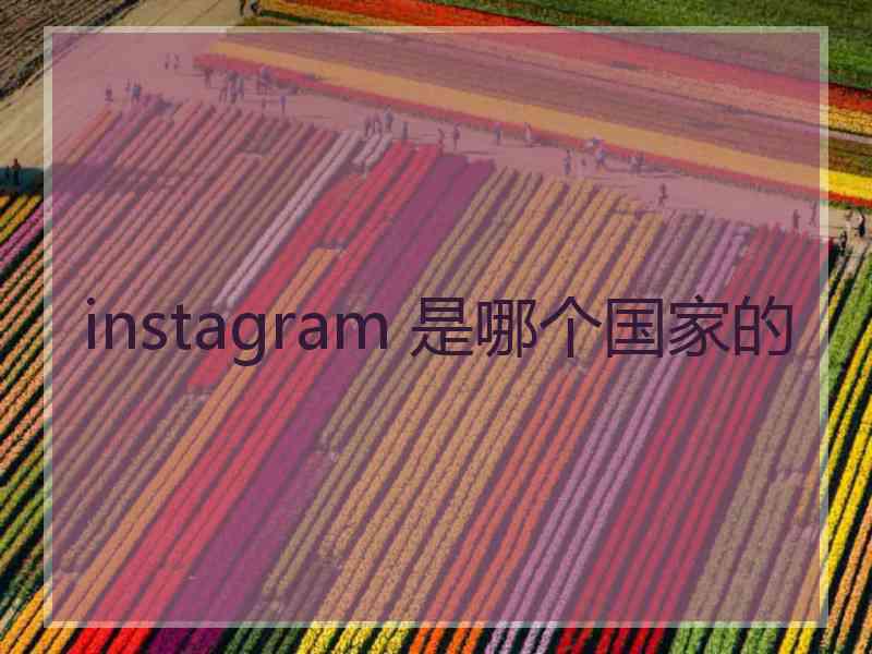 instagram 是哪个国家的