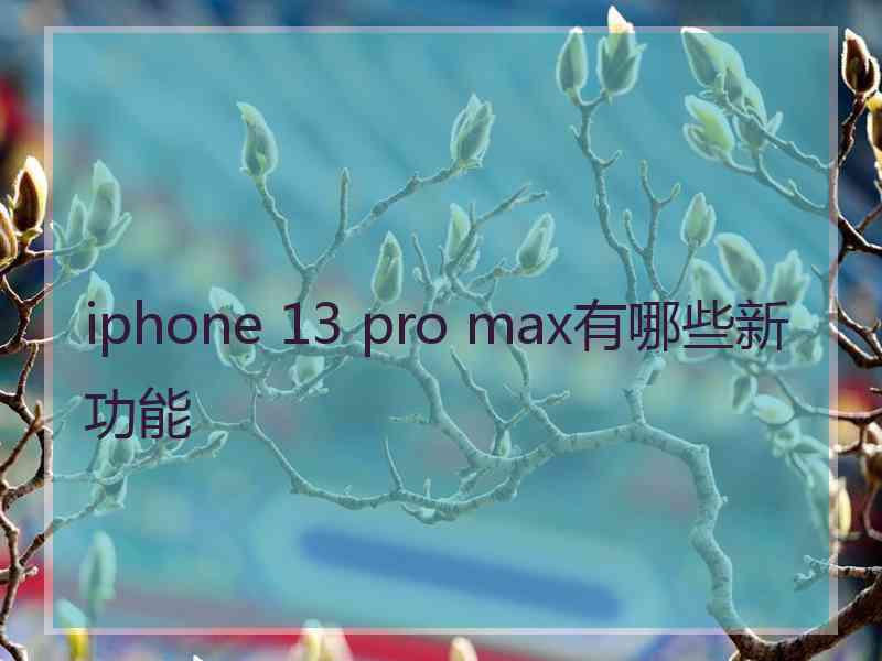 iphone 13 pro max有哪些新功能