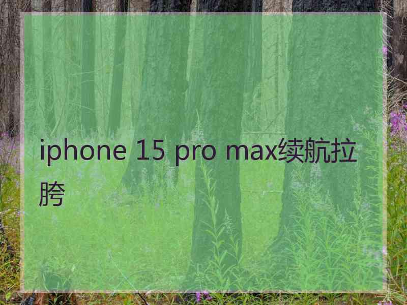 iphone 15 pro max续航拉胯