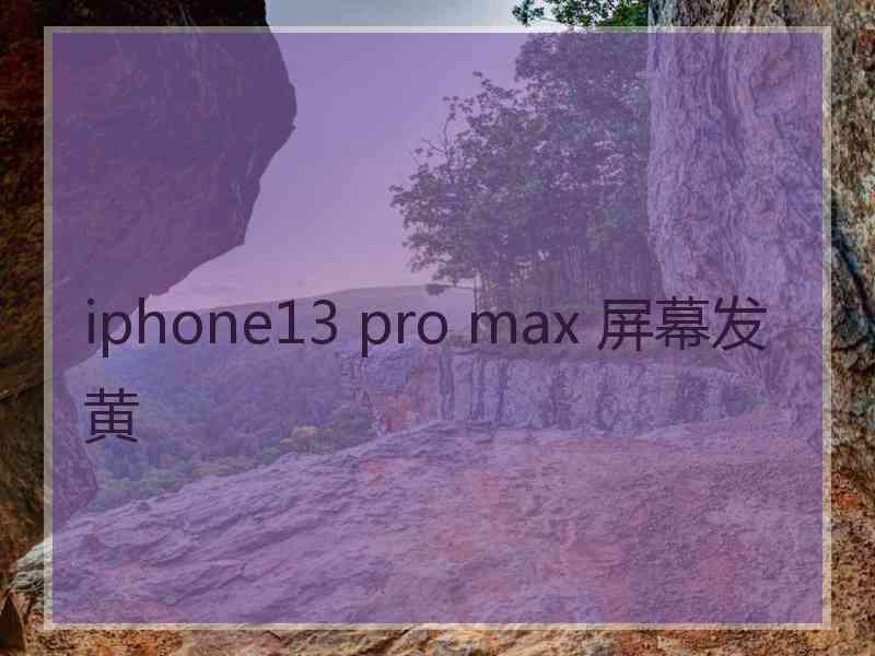 iphone13 pro max 屏幕发黄