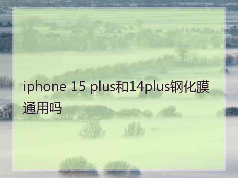 iphone 15 plus和14plus钢化膜通用吗