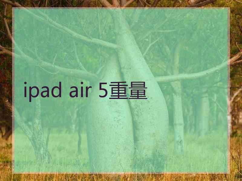 ipad air 5重量