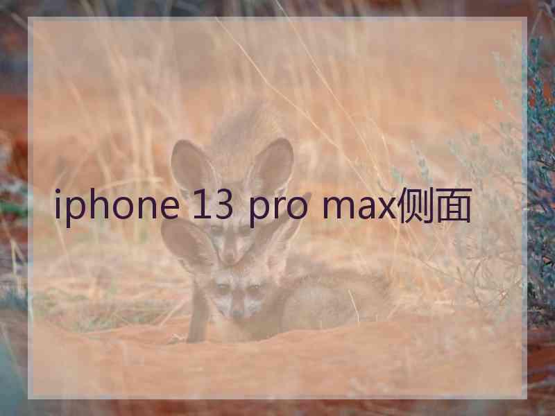 iphone 13 pro max侧面