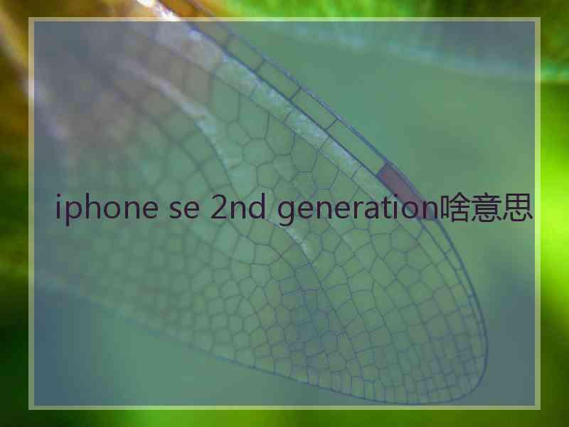 iphone se 2nd generation啥意思