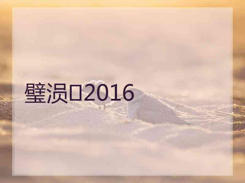 璧涢2016