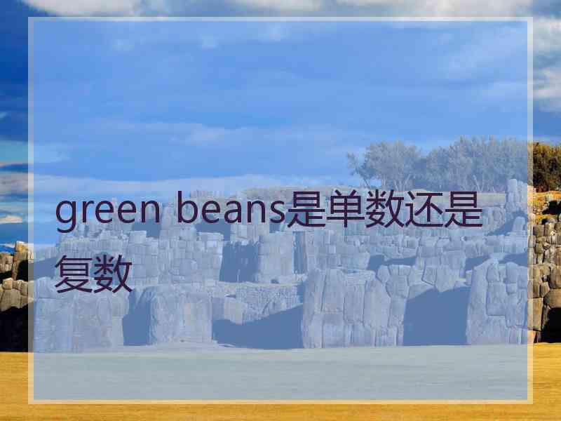 green beans是单数还是复数