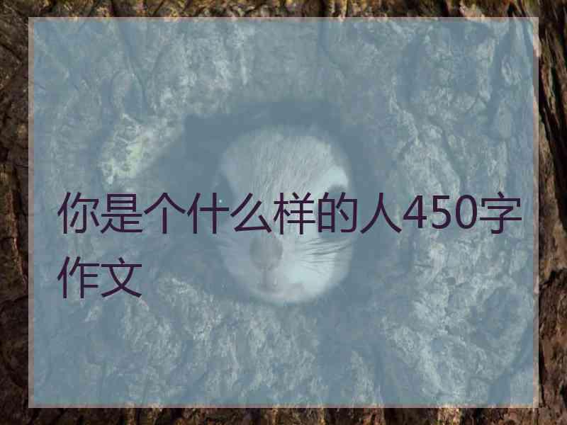 你是个什么样的人450字作文