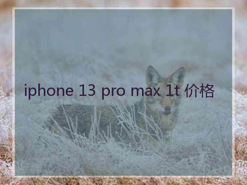 iphone 13 pro max 1t 价格