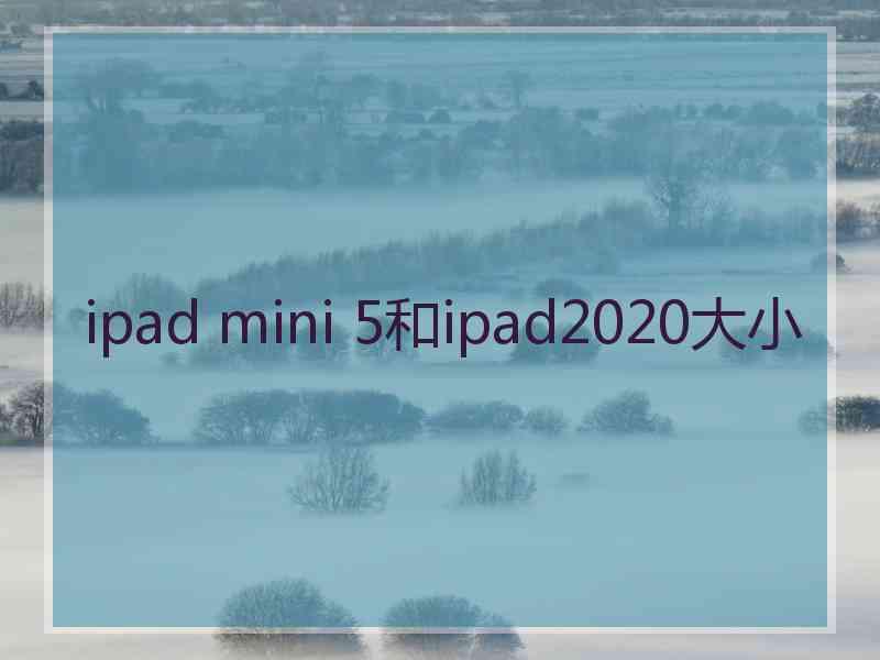 ipad mini 5和ipad2020大小