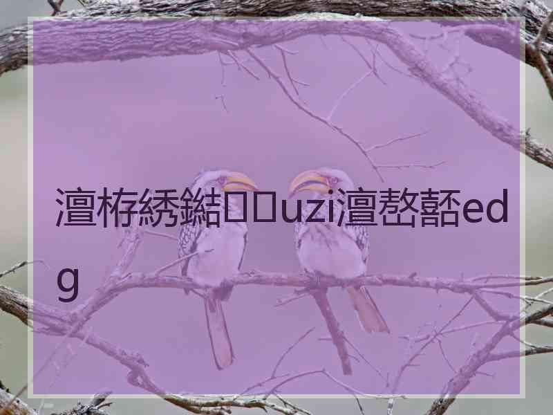 澶栫綉鐑uzi澶嶅嚭edg