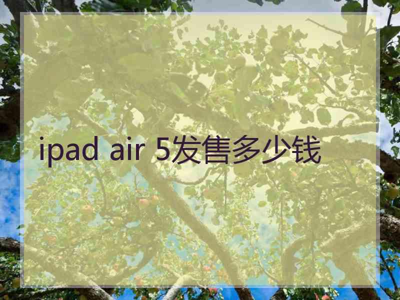 ipad air 5发售多少钱