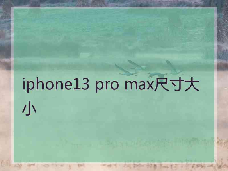 iphone13 pro max尺寸大小