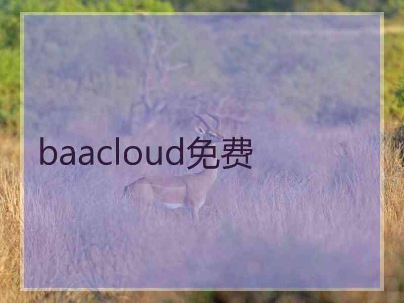 baacloud免费