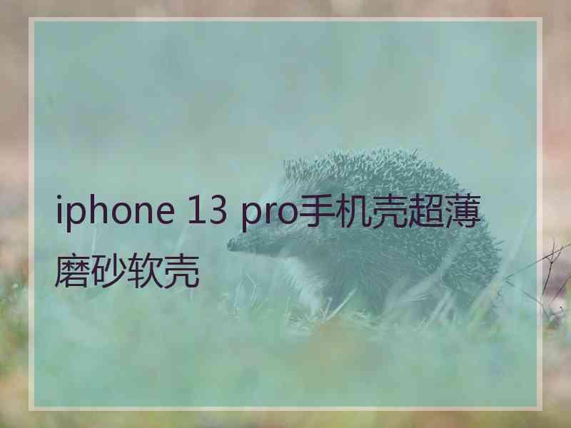 iphone 13 pro手机壳超薄磨砂软壳