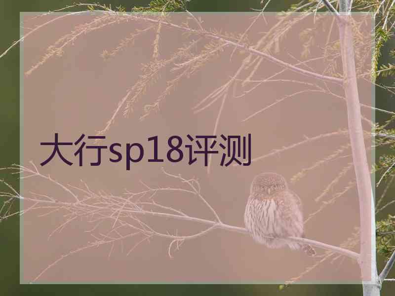 大行sp18评测