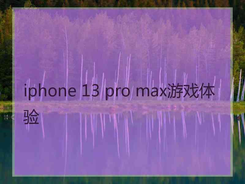 iphone 13 pro max游戏体验