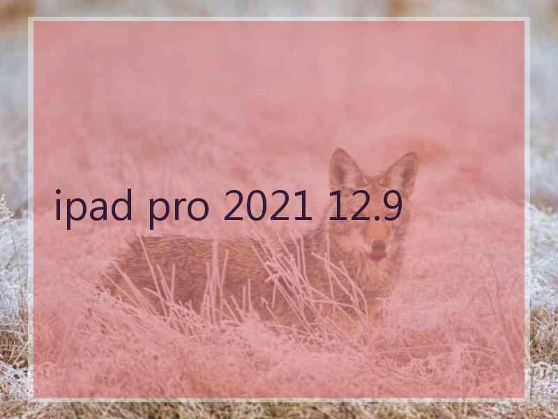 ipad pro 2021 12.9