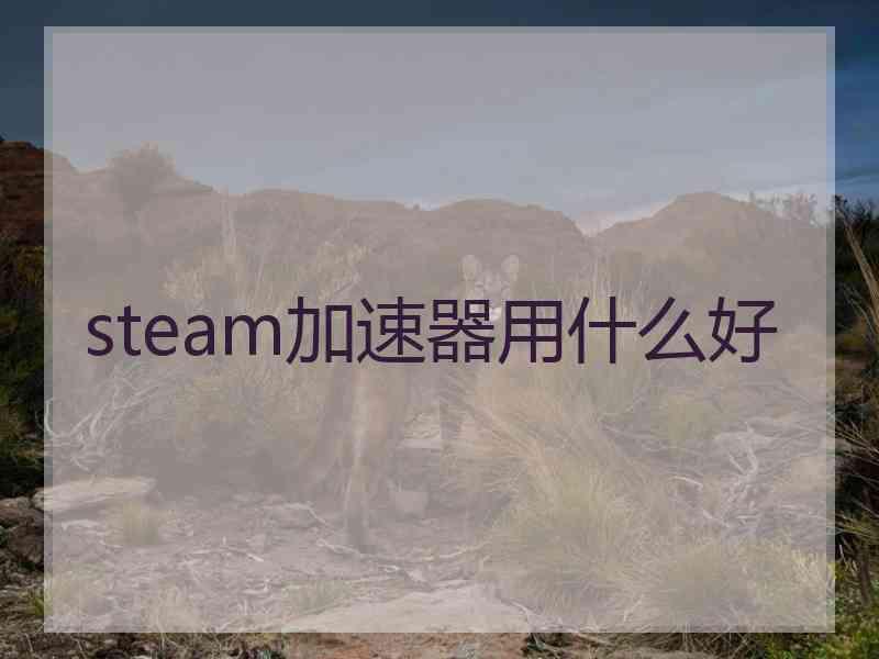 steam加速器用什么好