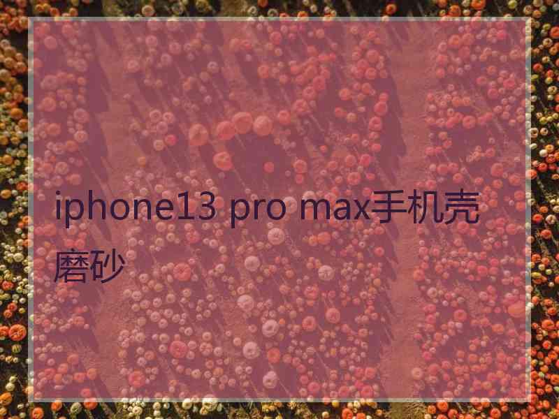 iphone13 pro max手机壳磨砂