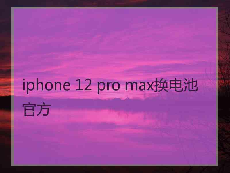 iphone 12 pro max换电池官方