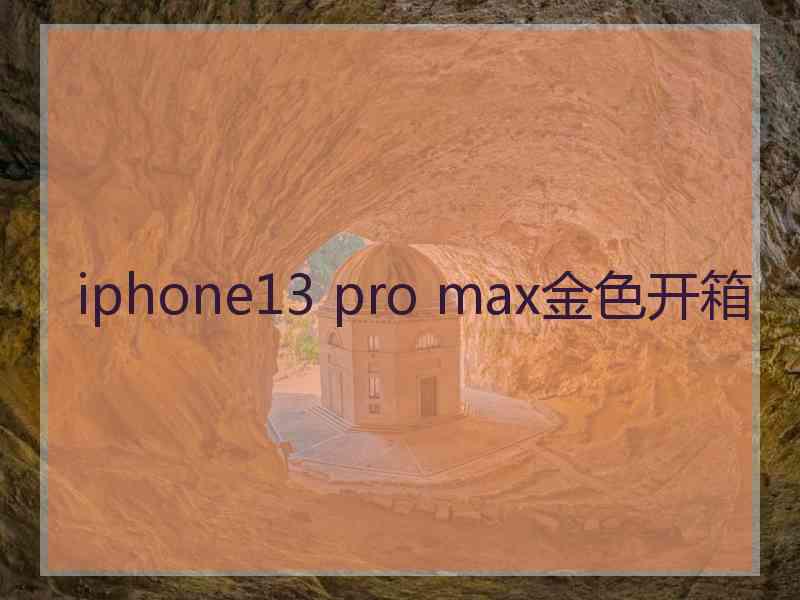 iphone13 pro max金色开箱