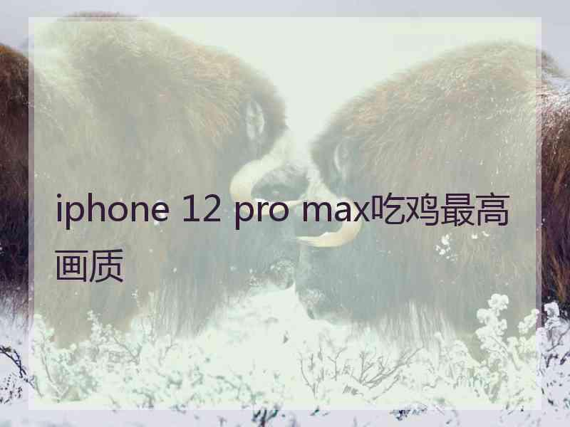 iphone 12 pro max吃鸡最高画质