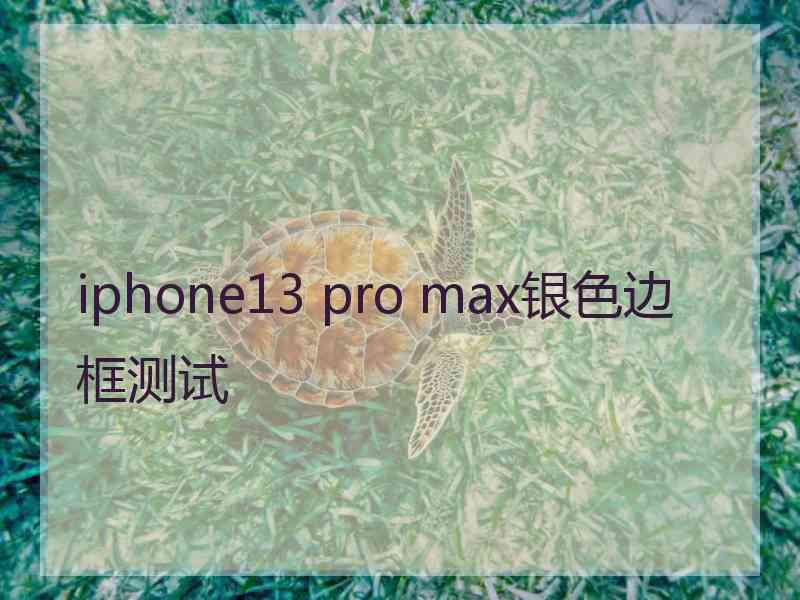 iphone13 pro max银色边框测试