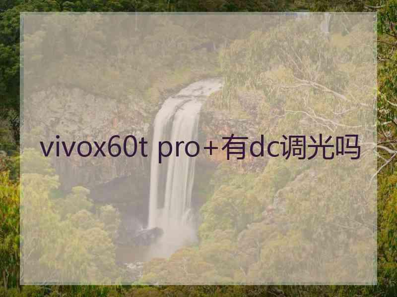 vivox60t pro+有dc调光吗