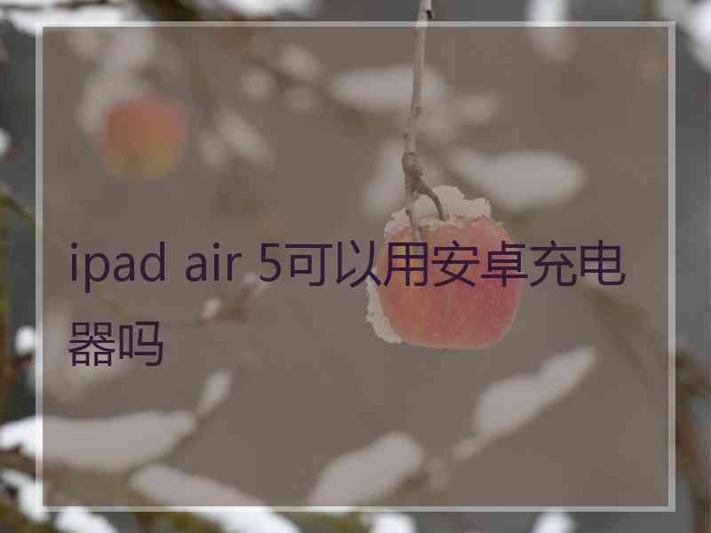 ipad air 5可以用安卓充电器吗