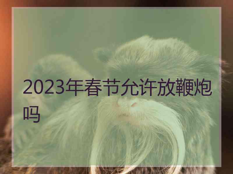 2023年春节允许放鞭炮吗