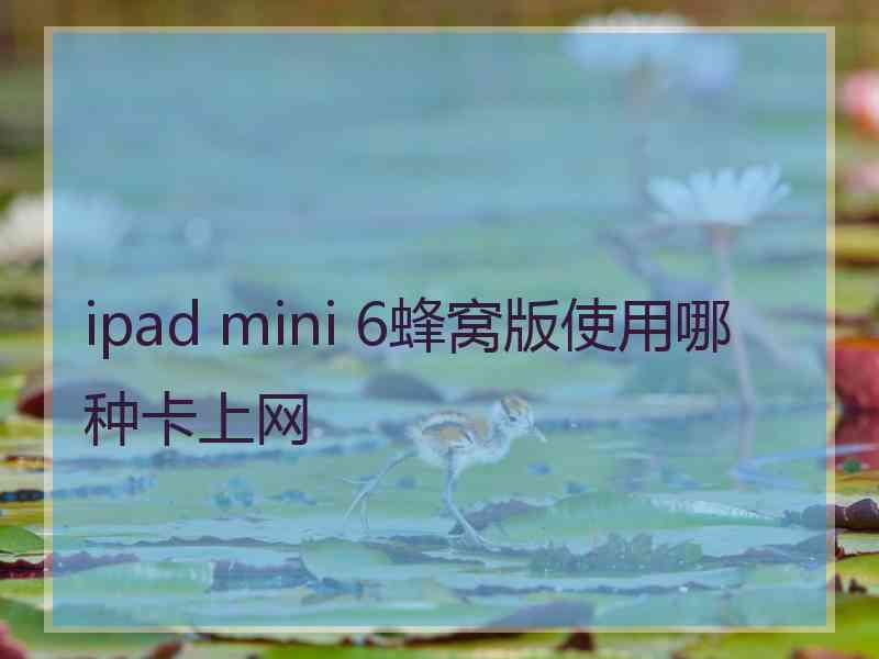 ipad mini 6蜂窝版使用哪种卡上网