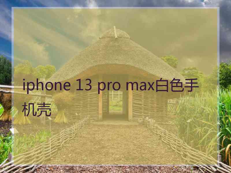 iphone 13 pro max白色手机壳