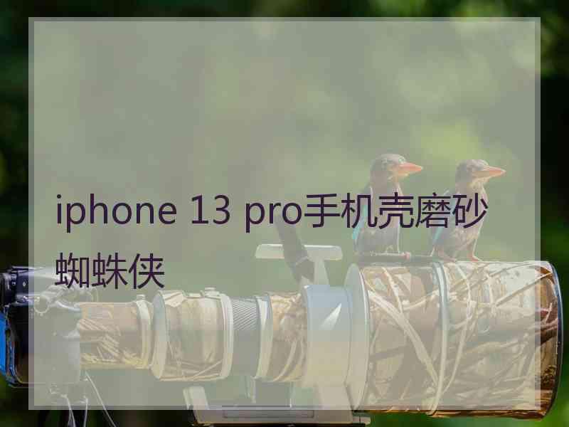 iphone 13 pro手机壳磨砂蜘蛛侠