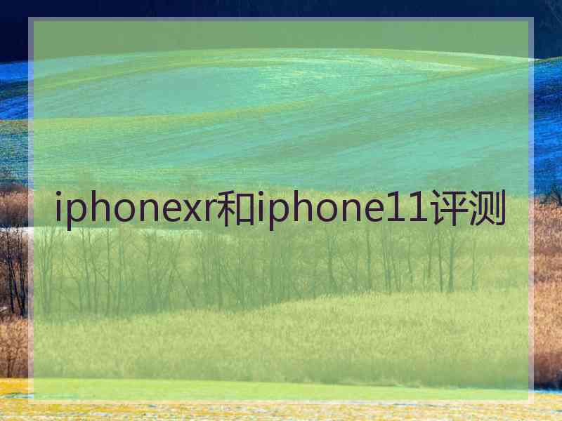 iphonexr和iphone11评测