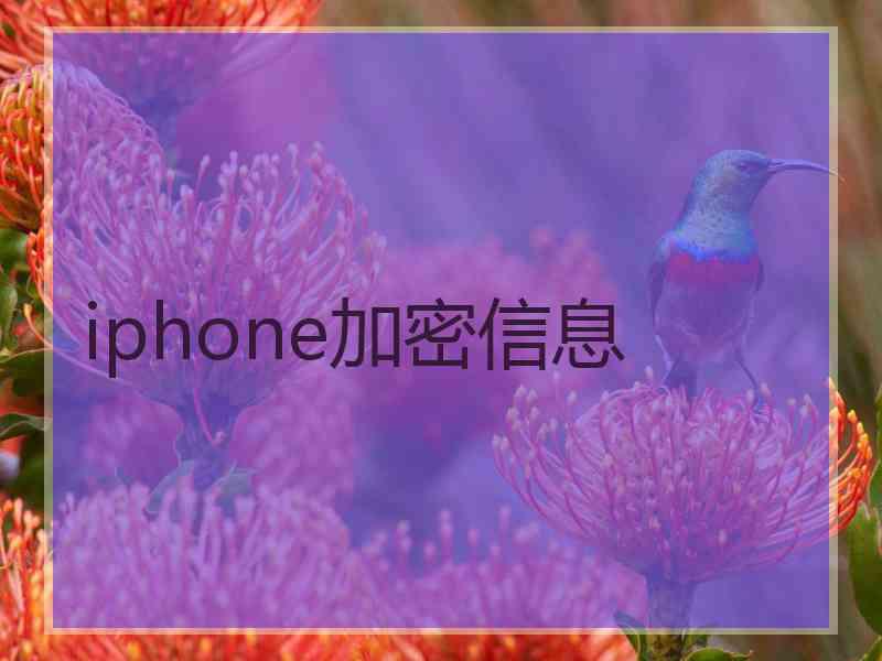 iphone加密信息